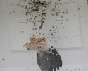 bild1