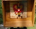 image006