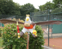 2018-07-09 Vogeltaufe
