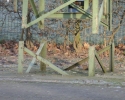 image021