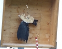 image019