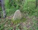 image017