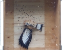image104