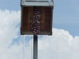 P1530003