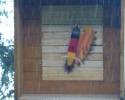 Photo11