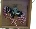 photo0032
