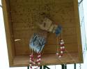 photo069